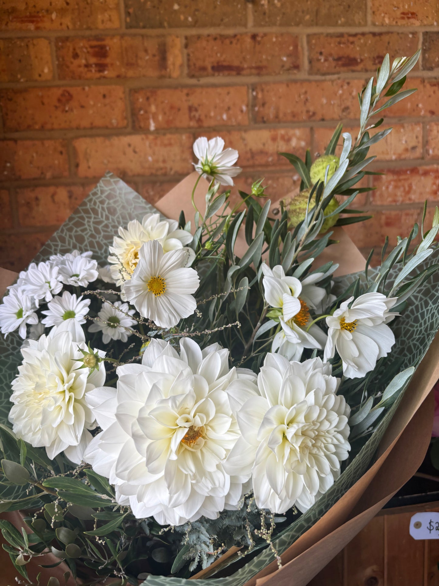 Graceful Bloom