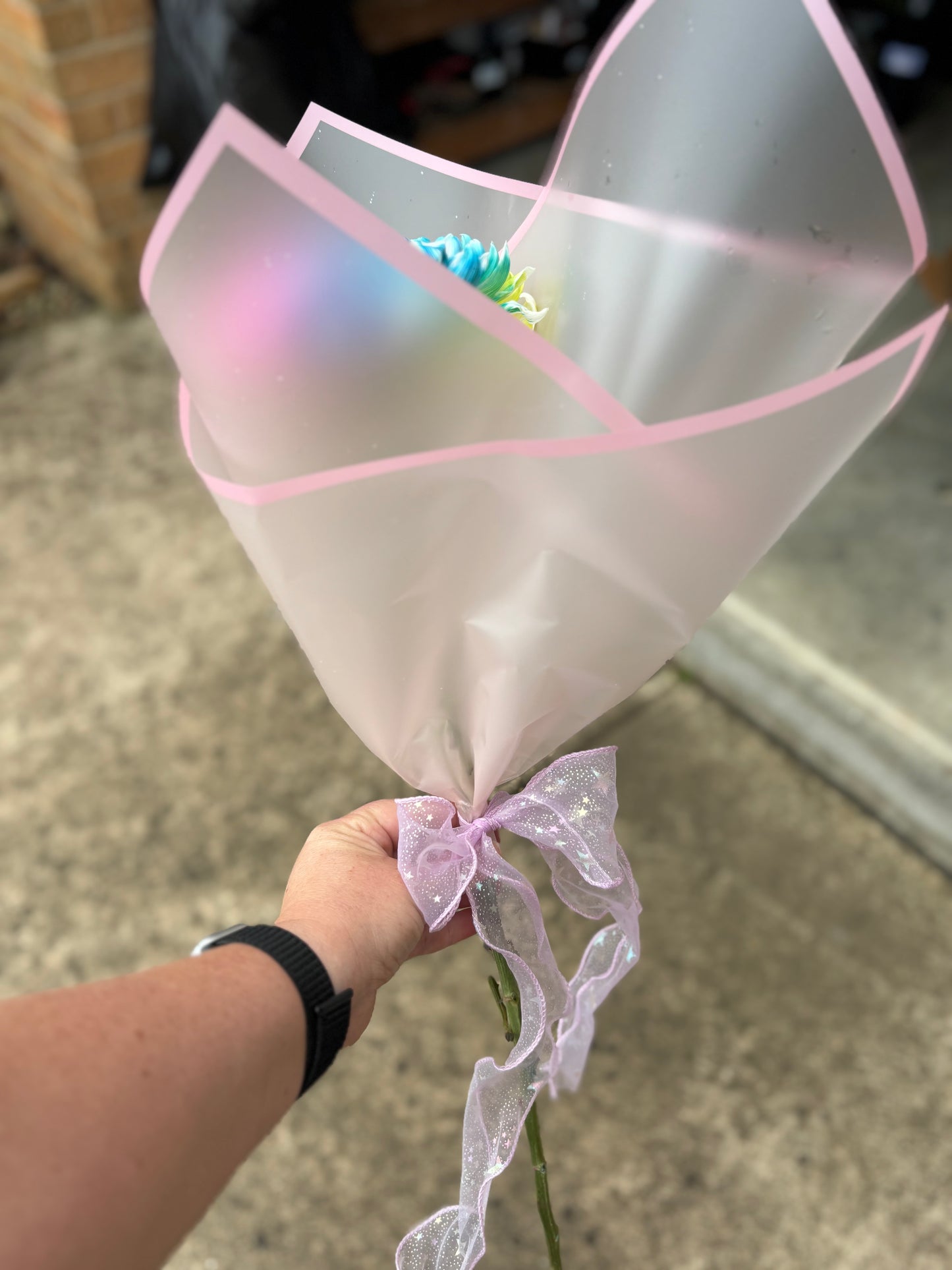 Rainbow Bloom for Tiny Dancer