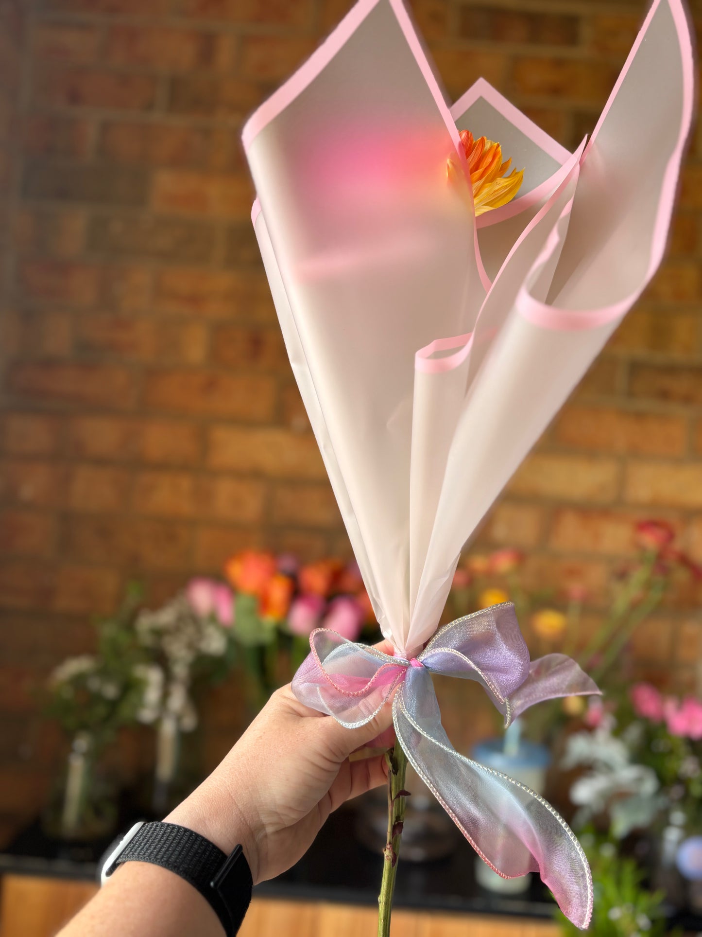 Rainbow Bloom for Tiny Dancer